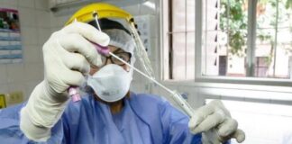Hasta el momento se detectaron 4 variantes de coronavirus en Salta
