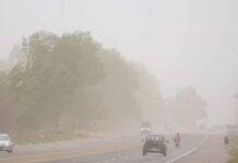 Alerta amarilla por fuertes vientos en la Puna salteña: prevén ráfagas de hasta 100 km/h