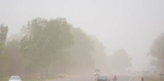 Alerta amarilla por fuertes vientos en la Puna salteña: prevén ráfagas de hasta 100 km/h