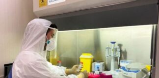 En Salta se confirmaron 12 nuevos casos de variantes de coronavirus