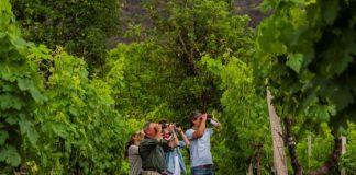 20 mil turistas recorrieron Salta el fin de semana extendido