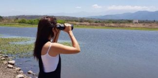 Salta lidera el número de especies observadas en el país