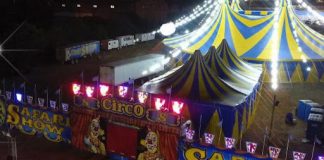 En Circo Safari sigue apostando al público salteño