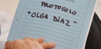Naciones Unidas felicitó a Argentina por el cumplimiento en materia de violencia de género