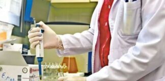 En la última semana no se notificaron casos de salmonelosis en Salta