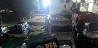 Incautan 19.000 Kg de harina y soja además de un cargamento de cigarrillos en zonas de frontera