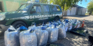 Interceptaron 370 kilos de hojas de coca que iban de Salta a la provincia de Mendoza