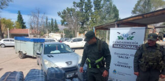 Decomisan más de 308 kilos de hojas de coca