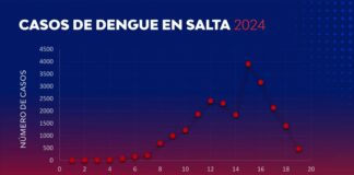 Se confirmaron más de 470 casos de dengue en la última semana