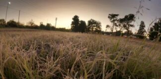 QUE FRÍO: Cayó la primera helada del año
