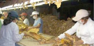 Paritaria del Tabaco. Logran un básico de 1.400.000 pesos