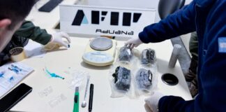 Salta. La Aduana interceptó un envío de cocaína en una encomienda