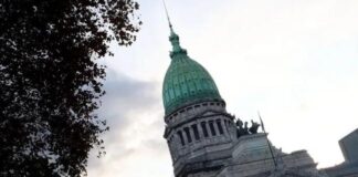 Audiencia en el Congreso: despedidos del estado reclamaron apoyo a los diputados y diputadas.