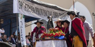 Salta. Se mantiene el arancel cero al tabaco
