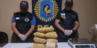Incautaron 10 kilos de marihuana en una encomienda