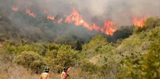 Los incendios quemaron unas 40 mil hectáreas y la prioridad es que el fuego no llegue a viviendas