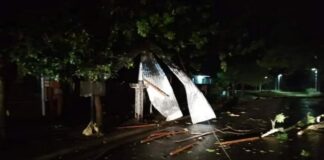 Temporal en Entre Rios: Techos volados, arboles caídos y cortes de luz