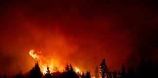 Se quemaron más de 18 mil hectáreas en el Parque Nacional Nahuel Huapi