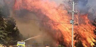 Incendios en Chubut y Río Negro: el Gobierno acusa a los mapuches