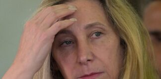Difusión de audios de Karina Milei: anuncian operación de inteligencia ilegal