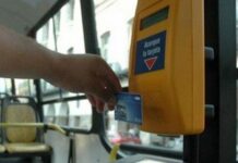 Elecciones 2025: No habrá colectivos gratuitos para ir a votar