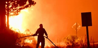 EL FUEGO NO PARA: Se reactivan focos en el Parque Nacional Los Alerces y el incendio ya supera las 35.000 hectáreas