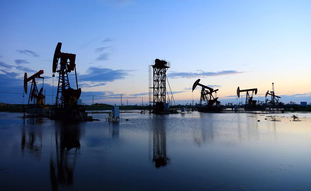 PETROLEO