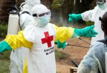 La OMS declaró la emergencia sanitaria mundial por brote de ébola en África