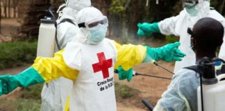 La OMS declaró la emergencia sanitaria mundial por brote de ébola en África