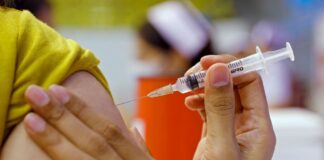 Vacunación focalizada contra la fiebre amarilla en Salta ante el brote detectado en Bolivia