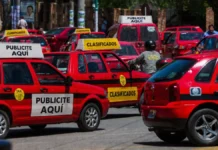 Taxis y remises de Salta ya podrán llevar publicidad: la AMT aprobó el nuevo reglamento