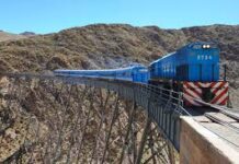Un turista cordobés cayó desde las vías del tren en Salta y sufrió una grave fractura