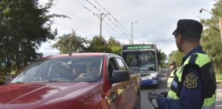 Salta sumará controles antidrogas en los operativos de tránsito: Cuándo comenzarán