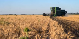 El Gobierno baja las retenciones al campo y fija un cronograma de reducción hasta 2028