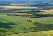 Qué cambia con la reforma de la Ley de Tierras que impulsa el Gobierno