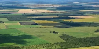 Qué cambia con la reforma de la Ley de Tierras que impulsa el Gobierno