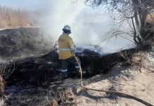 Advierten por alto riesgo de incendios forestales en cuatro zonas de Salta