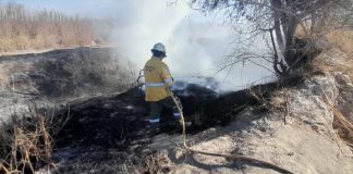 Advierten por alto riesgo de incendios forestales en cuatro zonas de Salta
