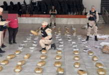 Prefectura secuestró más de 122 kilos de marihuana en Aguas Blancas