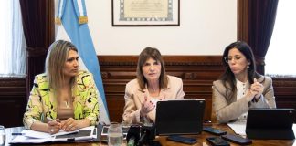 Senado: el oficialismo acordó avanzar con la reforma de la Ley de Salud Mental