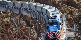 Belgrano Cargas: Nación buscará fondos privados para reactivar dos ramales clave de Salta