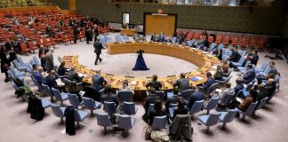 Estados Unidos pidió disolver el comité de la ONU donde Argentina reclama por Malvinas