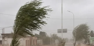 Salta bajo alerta por fuertes vientos: las ráfagas podrían alcanzar los 100 km/h