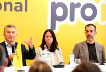 “Brasil es un socio clave”: el PRO marcó distancia del Gobierno por la relación con Lula